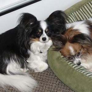 Meet your Posher, Charlene